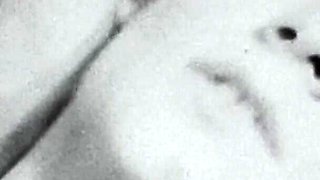 Vintage porn retro erotic theatre - roxanne