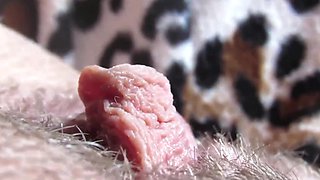 Big Clit Teasing & Real Wet Clitoral Orgasm In Exciting Close-up
