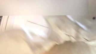 Ma chienne french amateur couple hidden cam 1