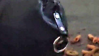 Sheela Sinner the Humiliation of My Useless Servant