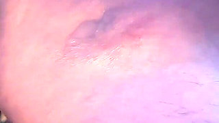 The Year in Bondage 15