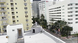 Bigdaddykj: Miami Beach Hotel Sex
