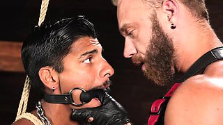 Apollo Fates gets his ass and dick flogged