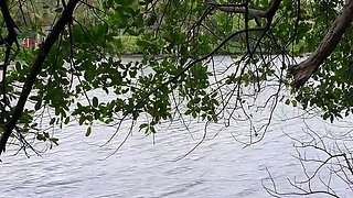 Amateur Porn Blowjob Cumshot Facial