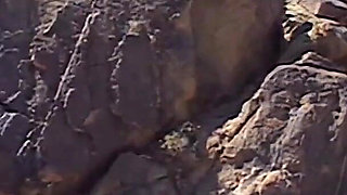 Outdoor Anal Action