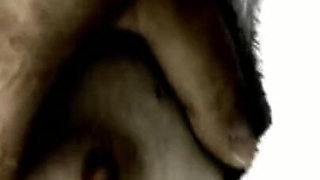 Trailer 436