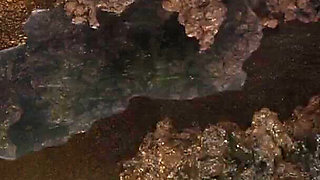 Naughty Trap for a Virgin