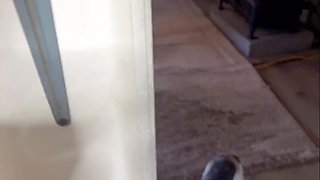 Sweet Hana Japanese Sexy Teen in Bathroom and Bedroom - Amazing Water Drain Fuck