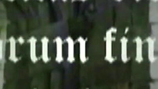 Trailer 415