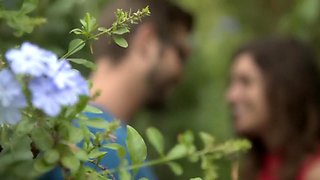 Julia Roca - Among The Bushes