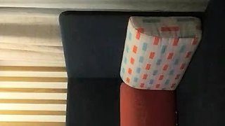 Cute amateur Asian web cam girl teases her great body