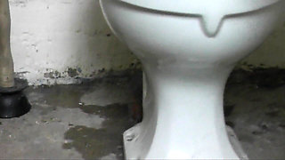 Toilet Slave