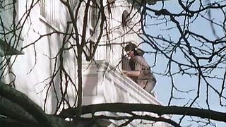 babe hardcore glamour hd porn pornstars