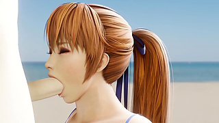 Kasumi Blowjob on the Beach
