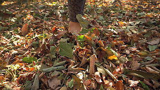 Leaves Crunching Underfoot Asmr
