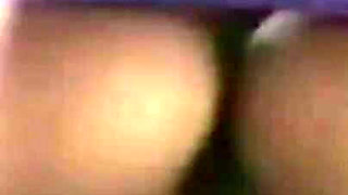 Trailer384