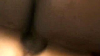 Dear's watching scene