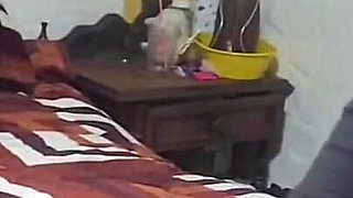 Homemade Sex with a College Girl, I Tell Her I'll Put It in Her Without a Condom Because I Like to Feel Her Ass - Part 1