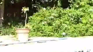 Sexxy Brandon: Pool Fun: Part 1