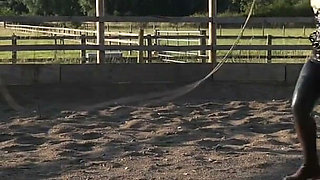 Trotting to Submission