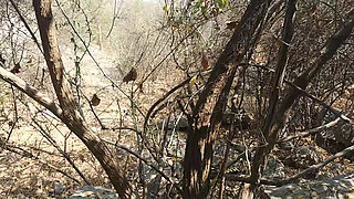 Tamil boy masterbathing forest in waiting for women flashing sex