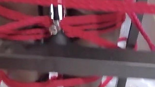 Mz32 - Bound Within a Metal Device, Reaching a Vibrating Climax.