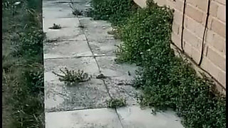 Pee and Walk Compilation (7 Clips)