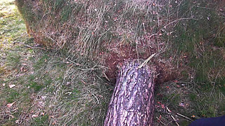 Happy Titslapping in the Woods and Parking Lot