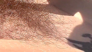 Sunrise Hairy Bush and Cigars Tanning in the Garden