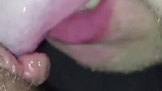 Lick Your with Passion