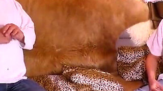 Old pig loves blonde milf!