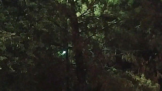 Thick BBW Wife Public Fun!