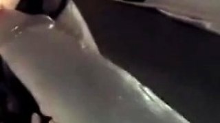 Blonde tight pussy babe solo toy fun in glamour masturbation