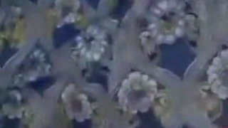 Pakistani Girl Blowjop Big Dick