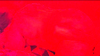 Blowing a Load on Curvy BBW Slut