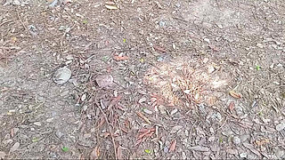 HOT INDIAN WITH INDIAN DESI 18 + SEX VIDEOS