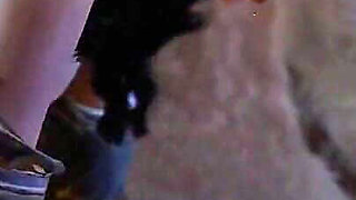 Pixelated Heat: Curves of the Goddess - 3D Animation Hentai