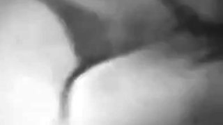 Vintage Bareback Blowjob by Amateurs