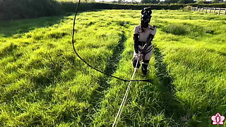 Trotting to Submission