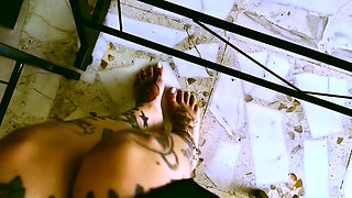 My Desk, My Rules, My Human Footstool