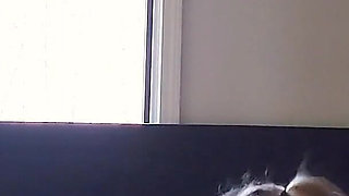 Hung Bull From Tinder Use Me as His Fuck Doll