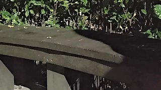 Shemale Ting Xuan Outdoor Amazing Anal