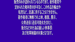 Fuck Machine Collection