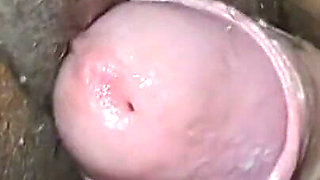 Puchis - Daringwarmer12 Loves Anal Sex with a Fat Ass MILF!