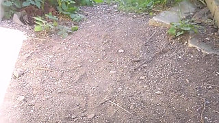 Finally Summer! Some New Outdoor Pee Is Coming