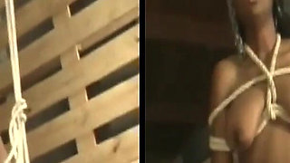 Extreme Big Tits Ebony BDSM Slave Mara Cruel Spanking Tit Busting and Whipping 3dlr