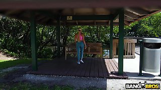 The Snowfall On The Bus