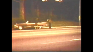 Vulgar Capricious Pig