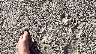 Comparing Size 16 Feet to Sand Prints at the Beach