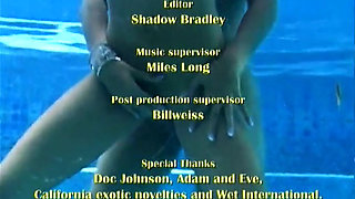 Lesbian orgy with Tera Patrick, Brianna Banks, Lanny Barbie and more